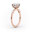 The Nicole Set With A 4.5 Carat Princess Moissanite Online Sale